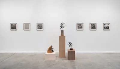 Heather Watkins, Visual Fields